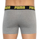 Труси-боксери Puma Statement Boxer 2-pack S gray/yellow 501006001-020